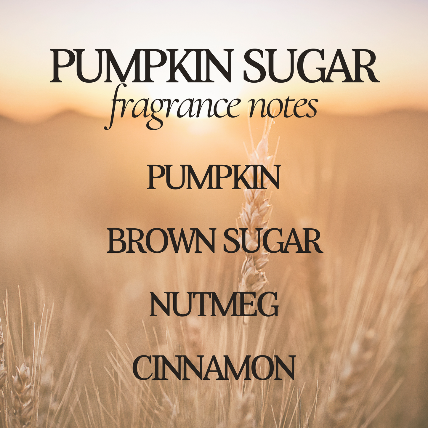 Pumpkin Sugar Fall Soy Candle - 12 oz Double Wick - Black