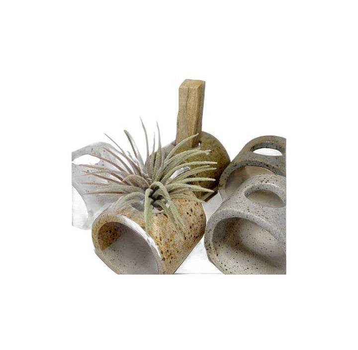 Ceramic Palo Santo, Dried Flowers or Plant Holder  - Color - Moss