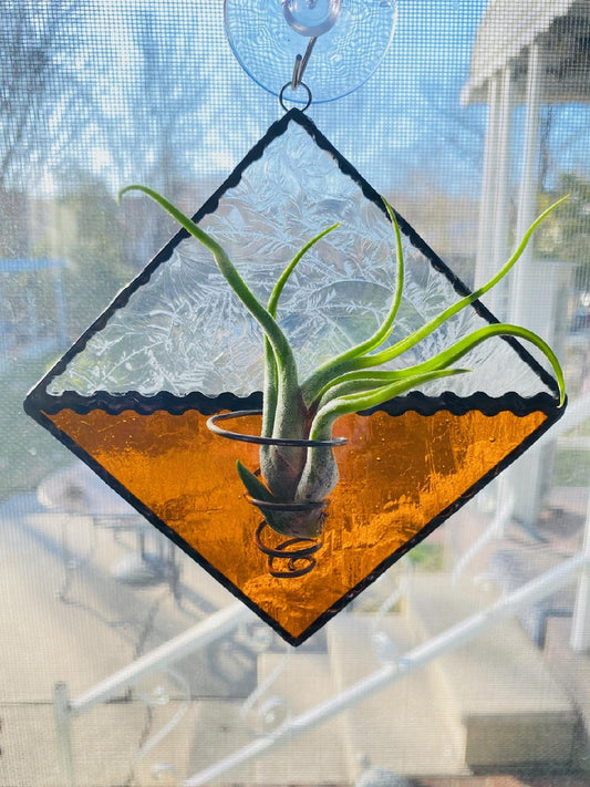 Stained Glass Air Plant Holder