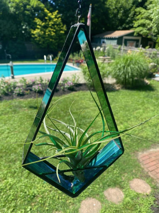 Stained Glass Air Plant Holder
