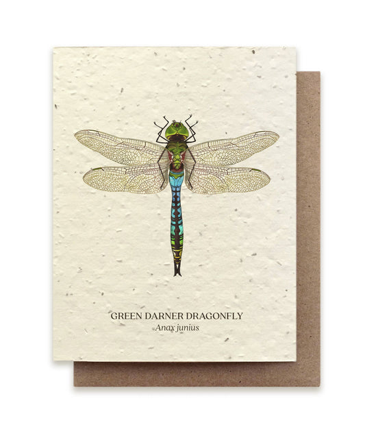 Green Darner Dragonfly Plantable Wildflower Seed Card
