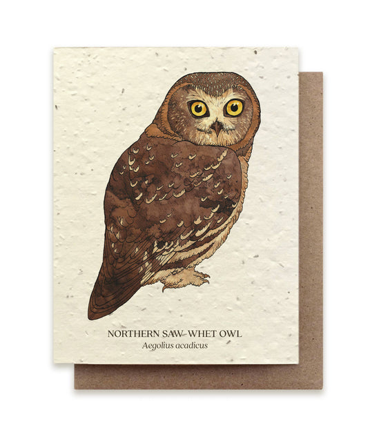 Northern Saw-Whet Owl Plantable Wildflower Seed Card